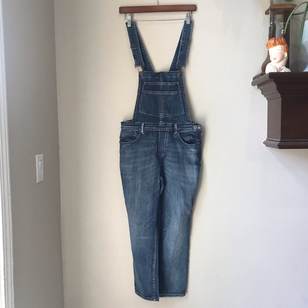 Blank NYC Skinny Overalls | 28 | distressed |